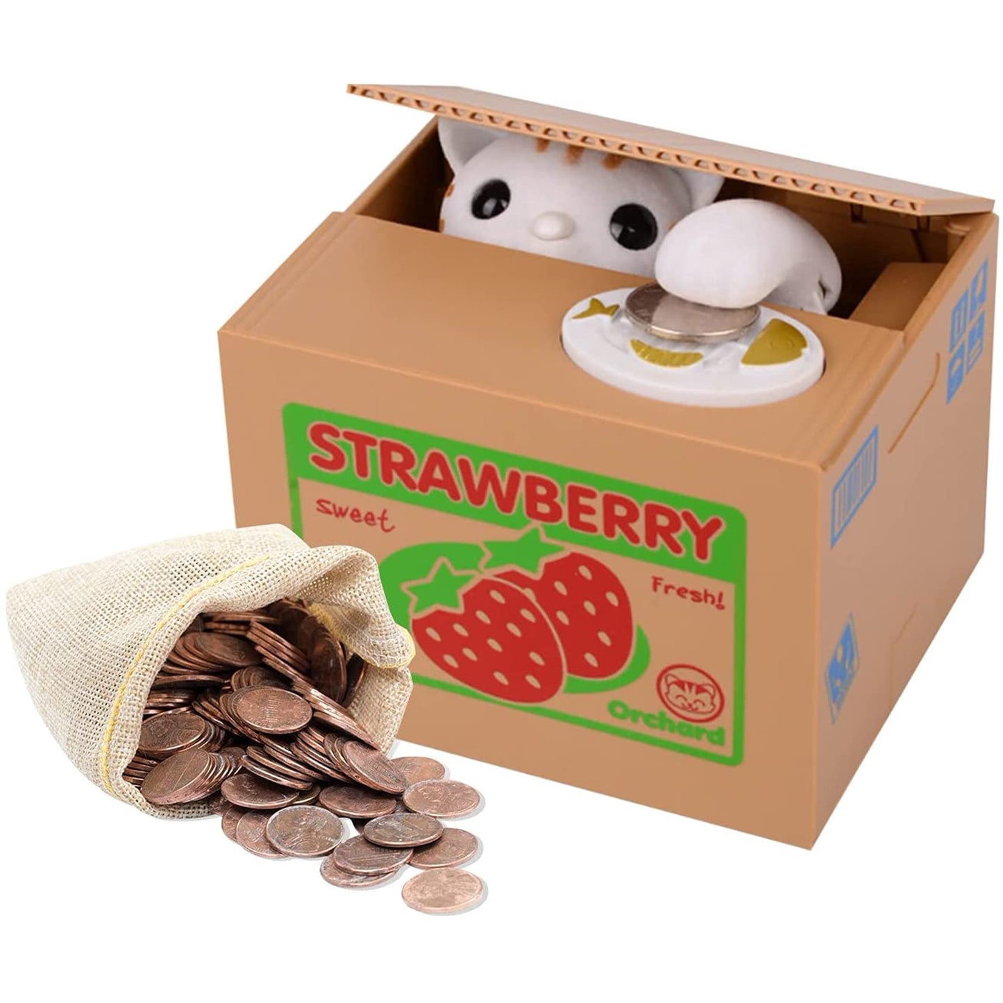 Kitten Piggy Bank